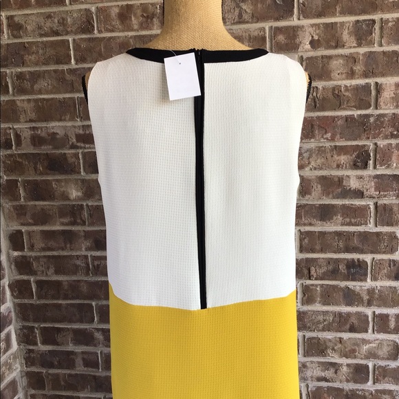 GIPSY Color Block Shift Dress - Picture 3 of 5